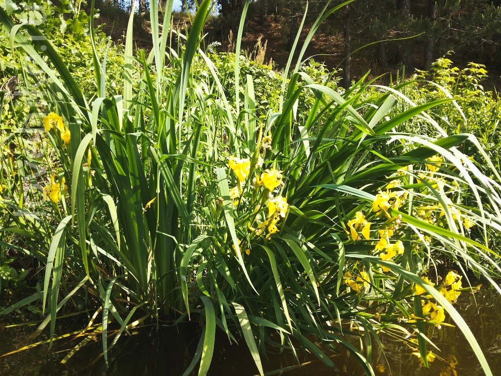 20150608_101613