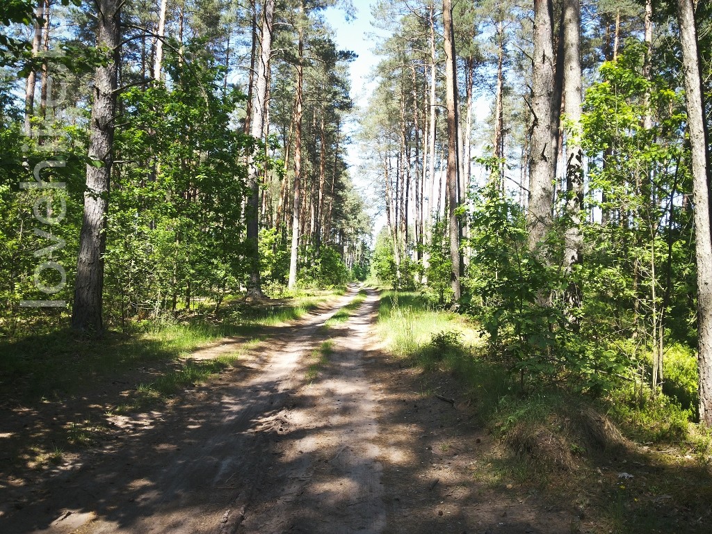 20150608_145148