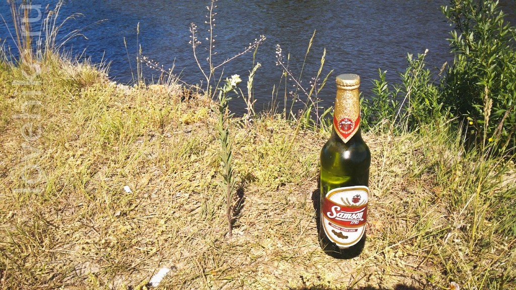20150608_151225