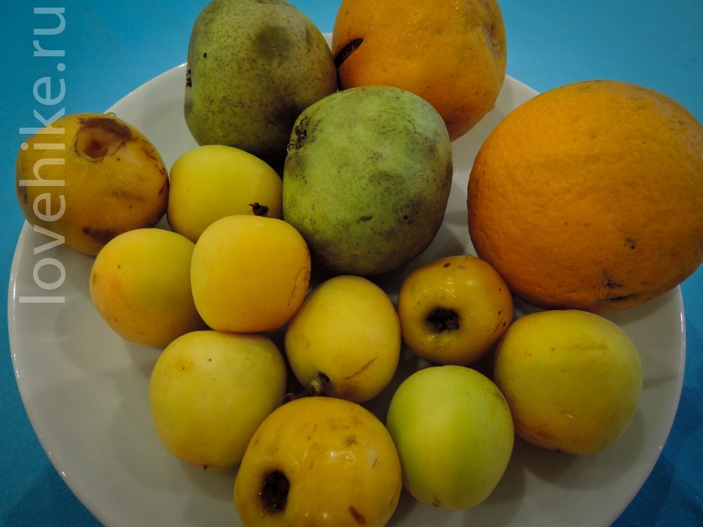 DSCN6053