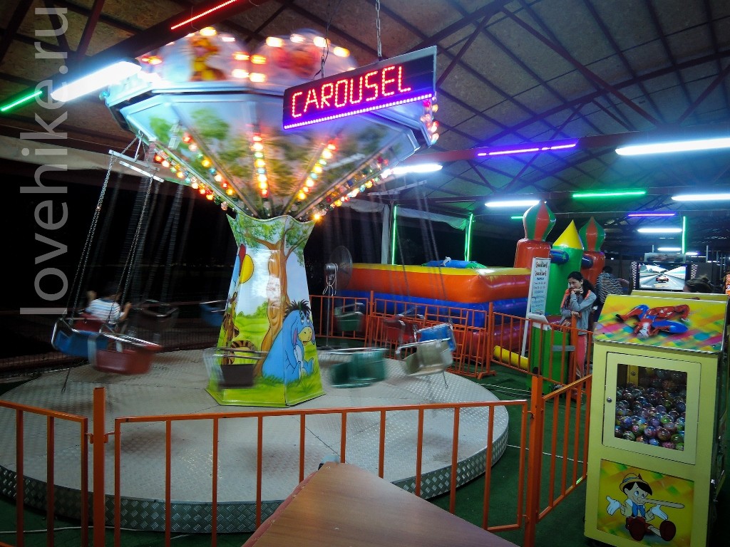 DSCN6147