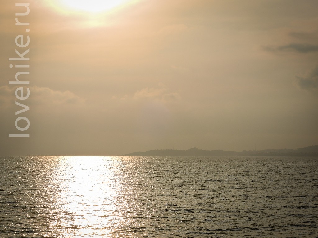 DSCN6348