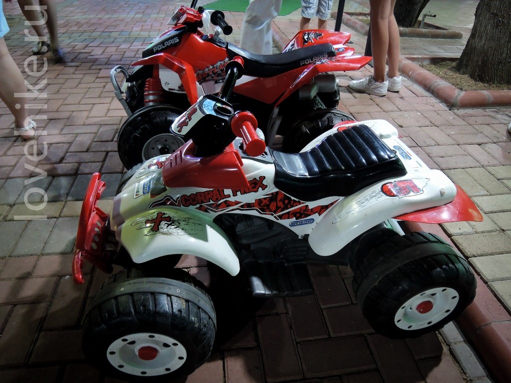 DSCN6856
