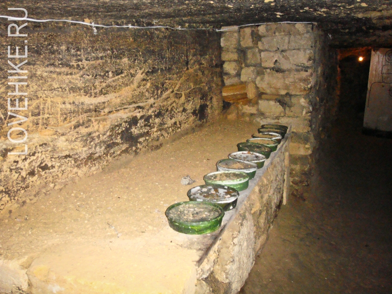 DSC00520
