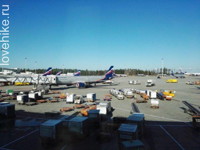 Аэропорт "Внуково" в Москве.