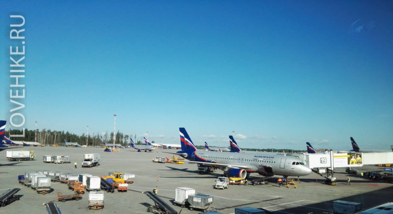 из москвы в минск на самолете