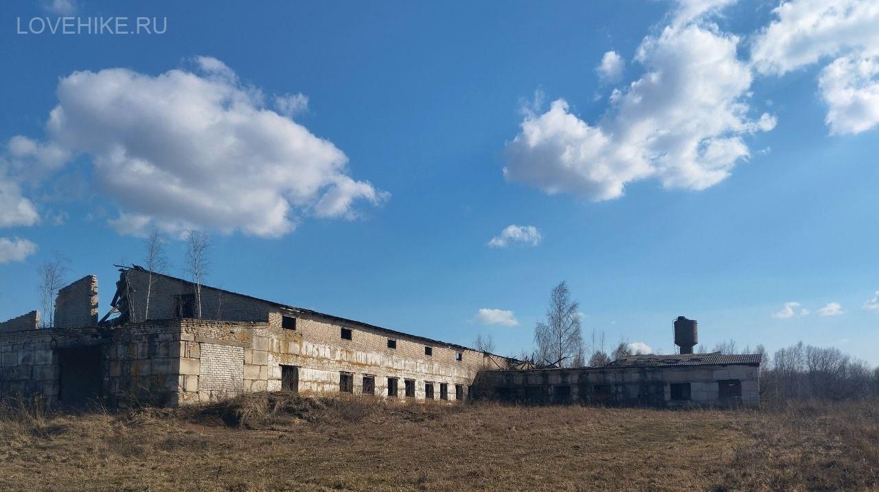 дорога тишины