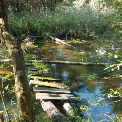Велопокатушка на реку Уша и родник Тумель
